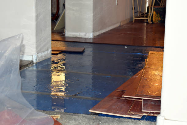 Professional Water Damage Restoration technician working in Hudson, NY